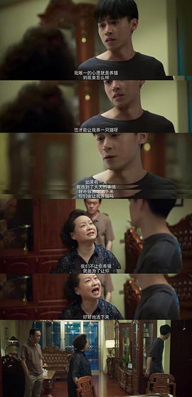 曾柯琅