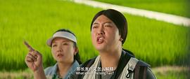 张一鸣