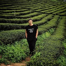 友塔纳·布格朗