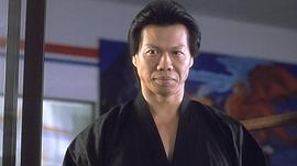 杨斯