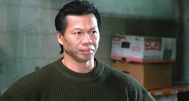 杨斯