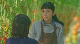 菊池亚希子