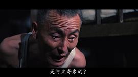 张照