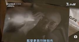 张光