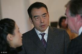 陈凯歌
