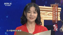 王维唯