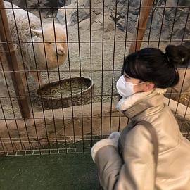李多妍
