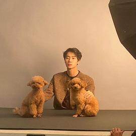 秋英宇