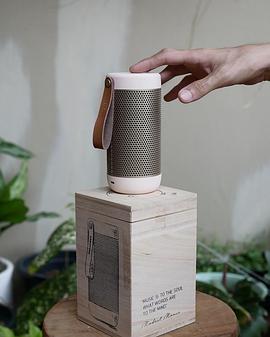 提拉帕·洛翰那