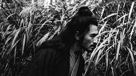 张晓晨