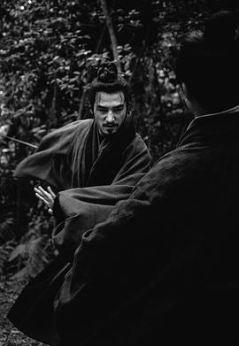 张晓晨