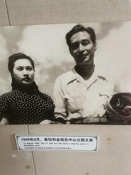 秦怡