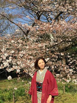 藤贵子