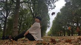 黑猫