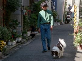 安藤忠雄