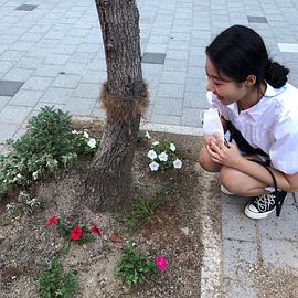 朴彩麟