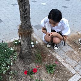 朴彩麟