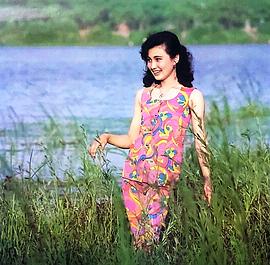 林芳兵
