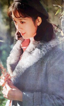 龚雪