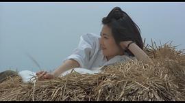 顾美华