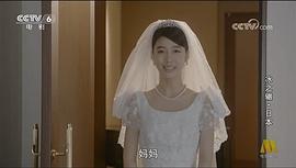 吉仓葵