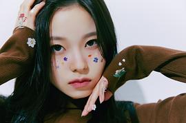 张圭真