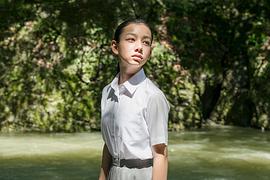 长泽树