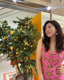 李美度