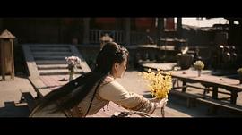 高维蔓