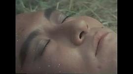 田鹏