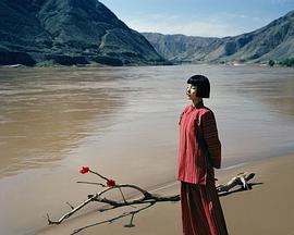 雎晓雯