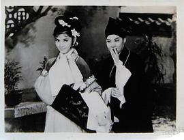 向群