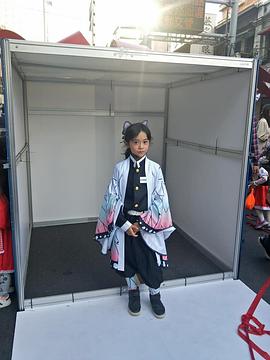 陈昭妃