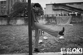 丁禹兮