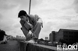 丁禹兮