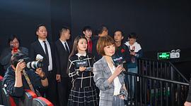 陈鲁豫