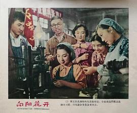 王丹凤