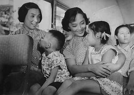 王丹凤