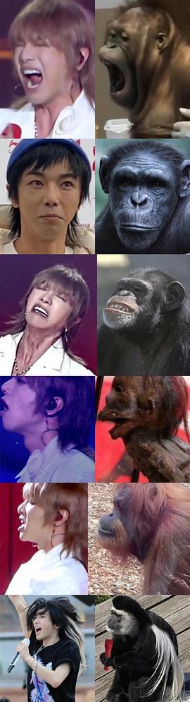 华晨宇