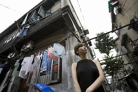 中山惠