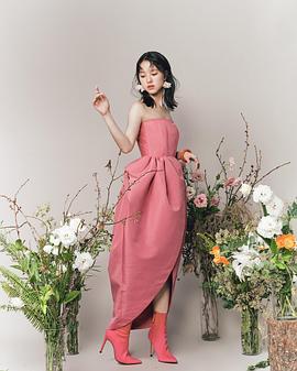 项婕如