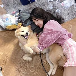 表慧美