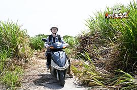 王栎鑫