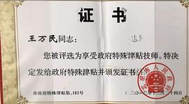 王万民