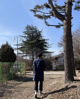 权赫