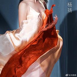 杨扬