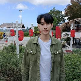 德尔·斯缇塔尔·迪拉帕维耶杰