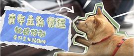 黄逗