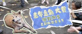 大黄