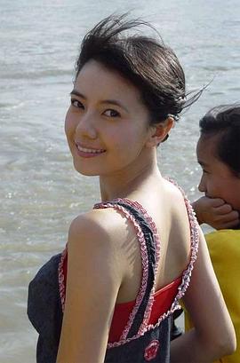 高圆圆